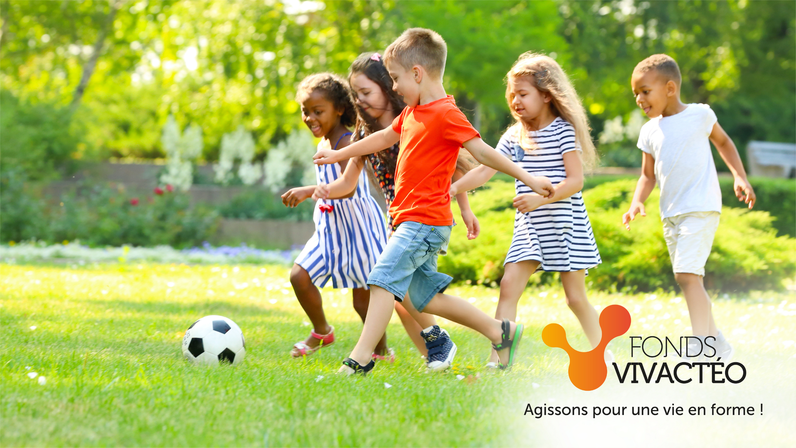 Bannière Vivactéo 2